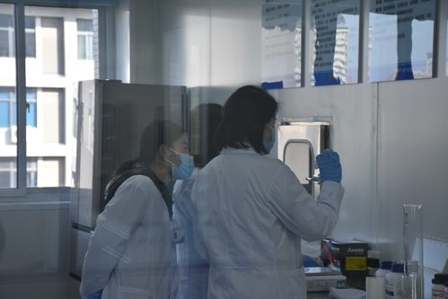 聚焦技術(shù)前沿 保障舌尖安全——河南省畜產(chǎn)品質(zhì)量安全技術(shù)研究院創(chuàng)新發(fā)展研討會在河南牧業(yè)經(jīng)濟(jì)學(xué)院召開